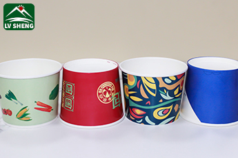 Custom Printed Bowl for Dessert Noodles Soup Salad Paper Bowl With Lid